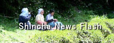 Shincha News Flash 2012 (32)