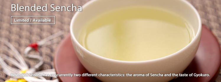 Blended Sencha is Now Available