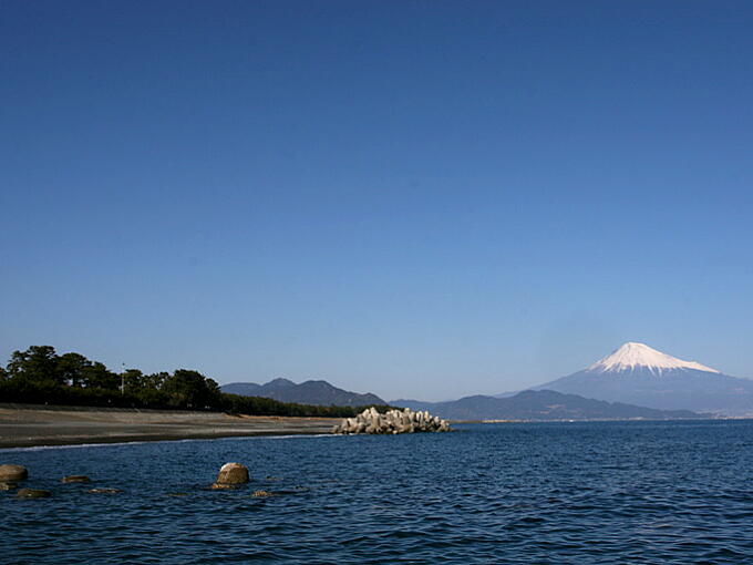 View of Mt. Fuji from pine grove at today's MIHO area.