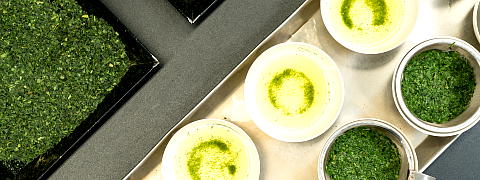 Why is Tencha Flavor a Secret? (Tencha - Pure Elegant Flavor ...