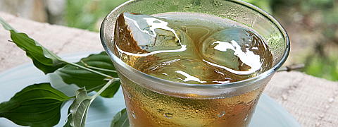Iced Houjicha (Tea Recipes)